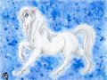 White_horse.jpg